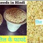 sesame seeds in hindi