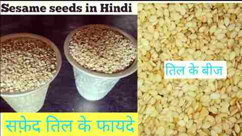 sesame seeds in hindi