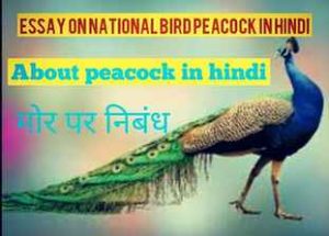 about peacock in hindi
