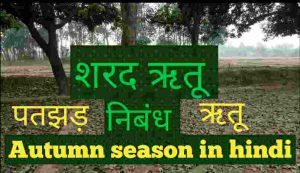 Autumn season in Hindi